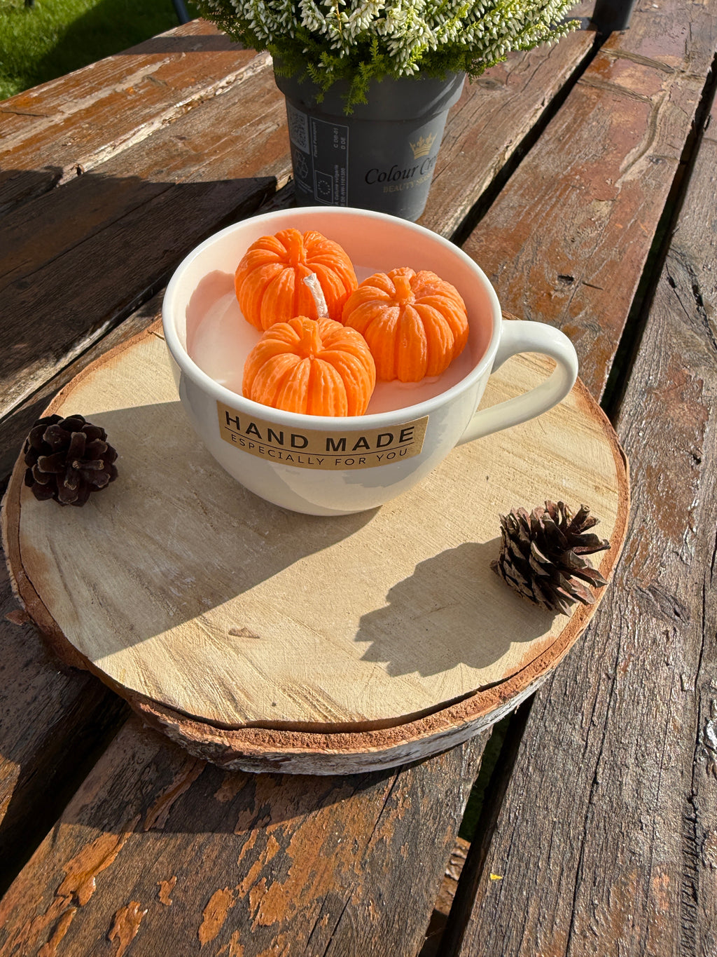 Orange Soy Dessert Pumpkin Cream candle