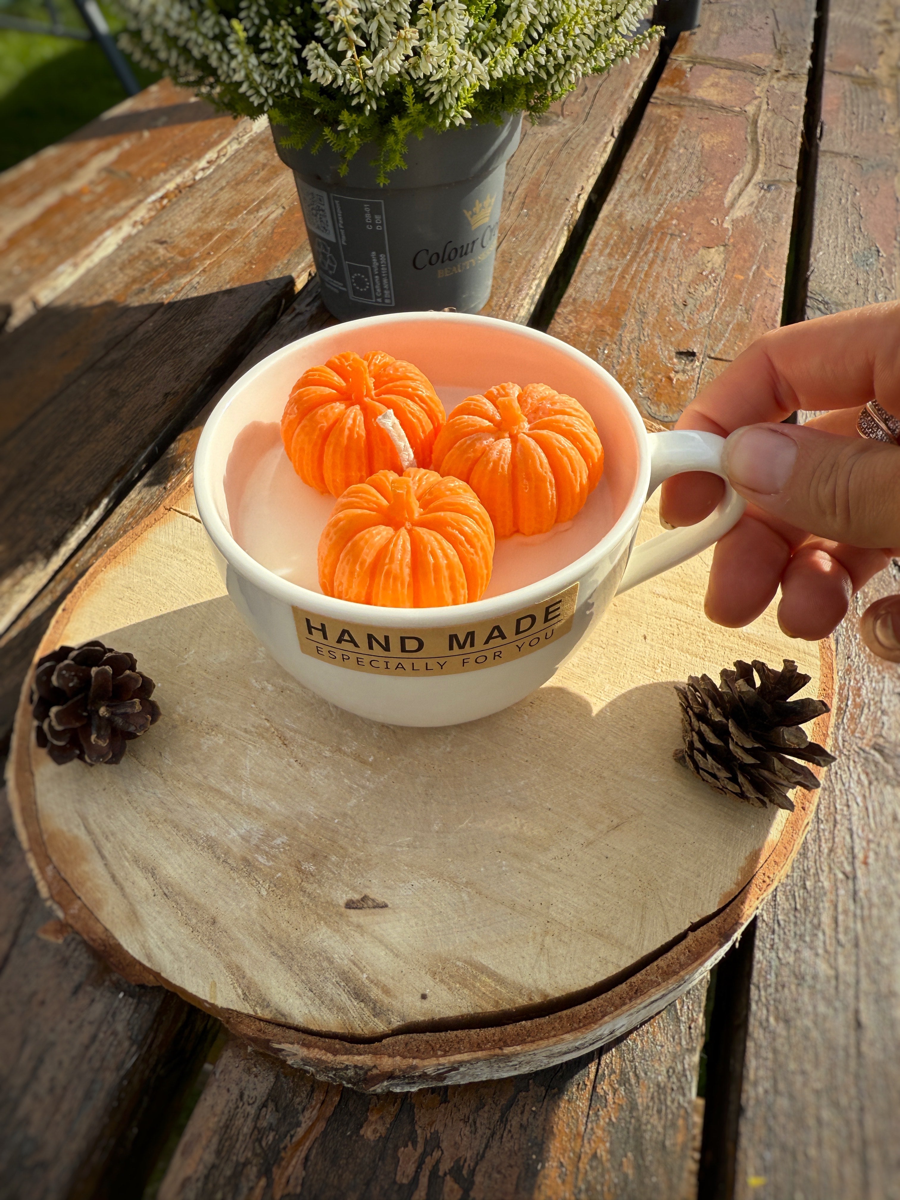 Orange Soy Dessert Pumpkin Cream candle