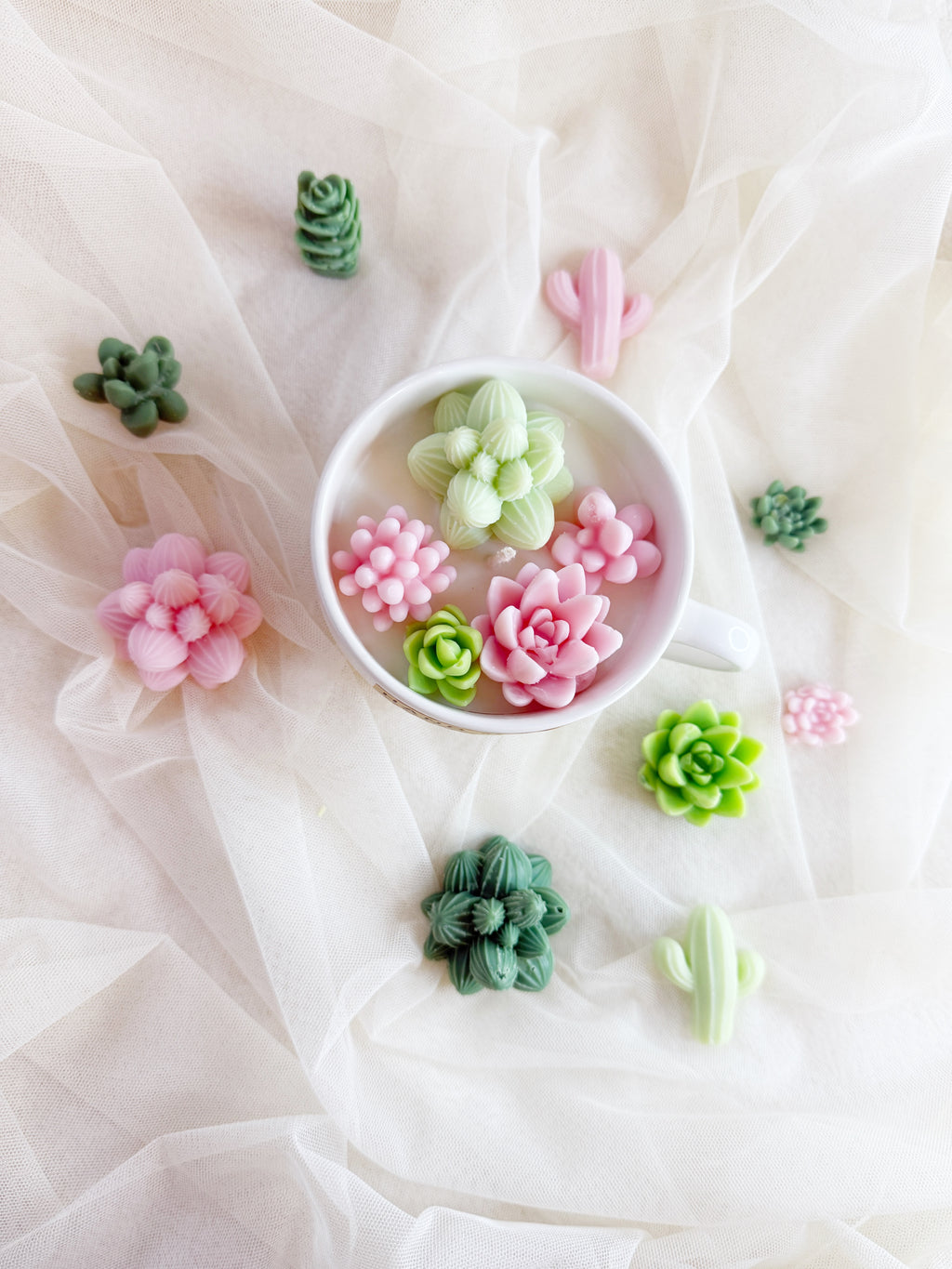 Cactus Soy wax candle