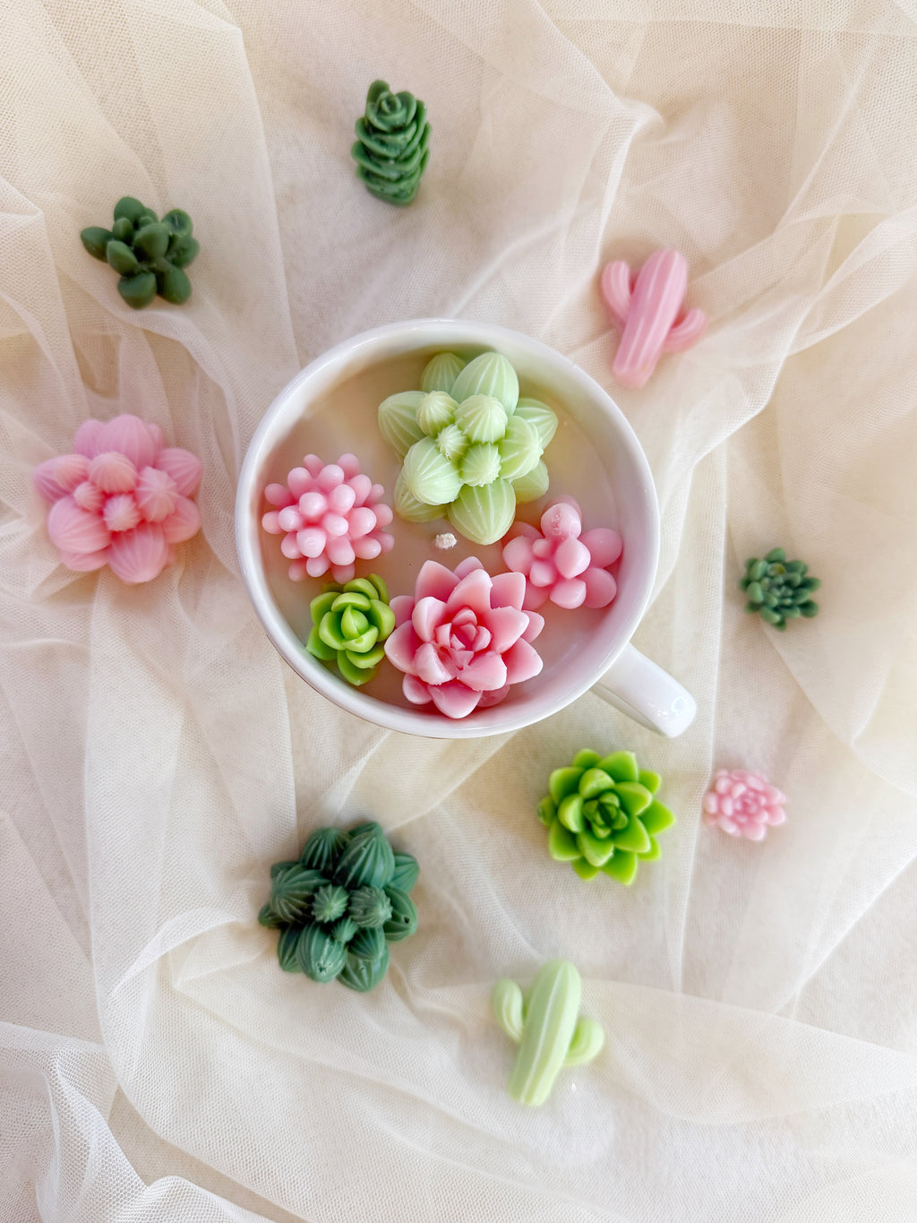 Cactus Soy wax candle