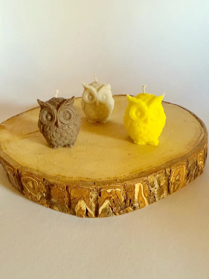 Soy OWLS candles
